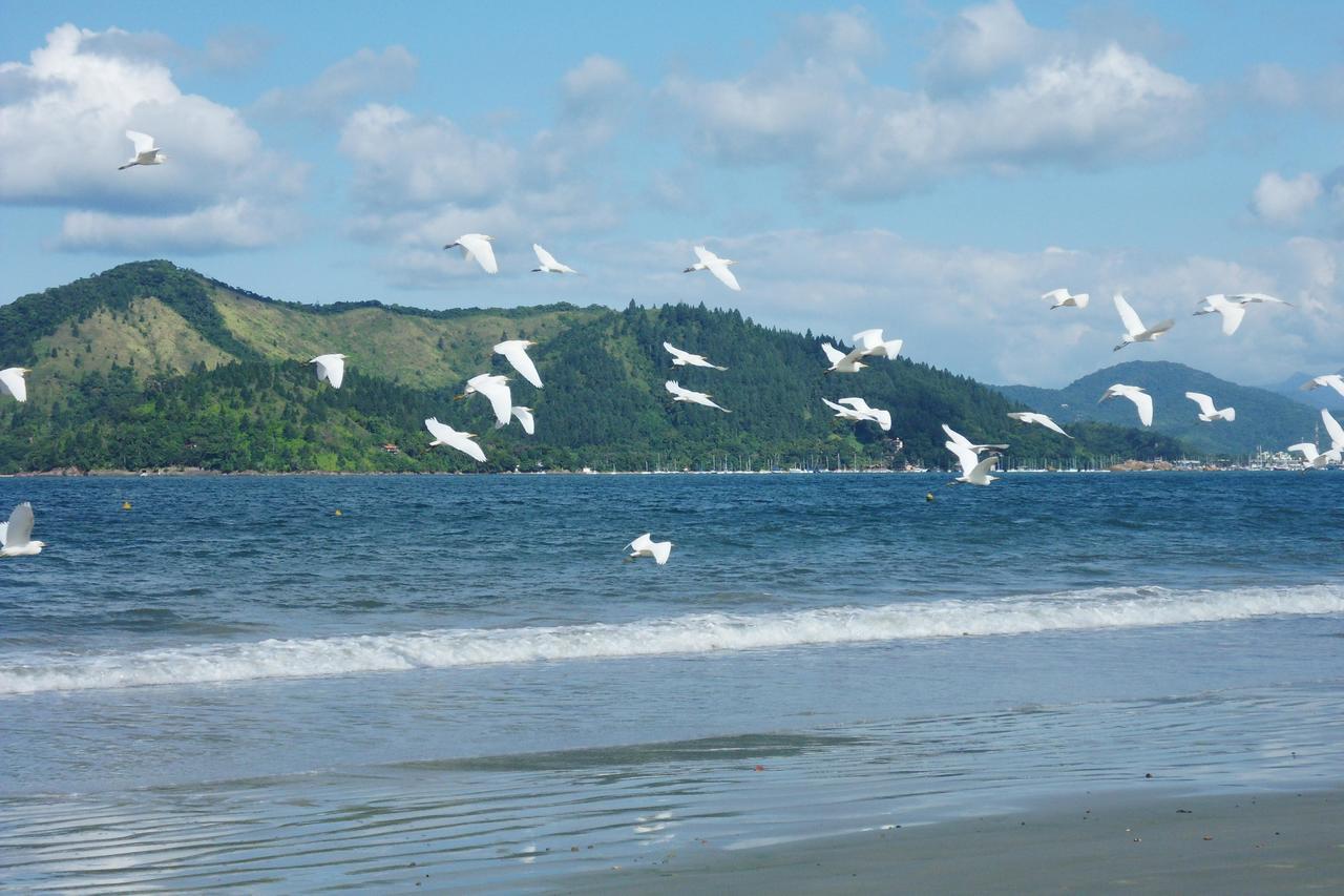 Hotel Torremolinos Ubatuba Eksteriør bilde